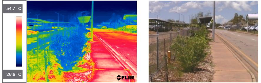 Burnett Rd footpath and thermal image